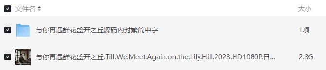 《与你再遇鲜花盛开之丘》[百度/夸克网盘下载]日本电影[1080p高清/BT磁力链接]