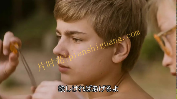 《夏天的记忆》2016波兰电影1080P超清在线观看[百度/夸克网盘下载]