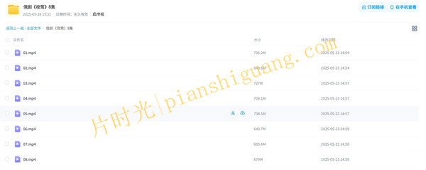《夜莺》俄剧未删减完整版在线观看[百度/夸克网盘下载]